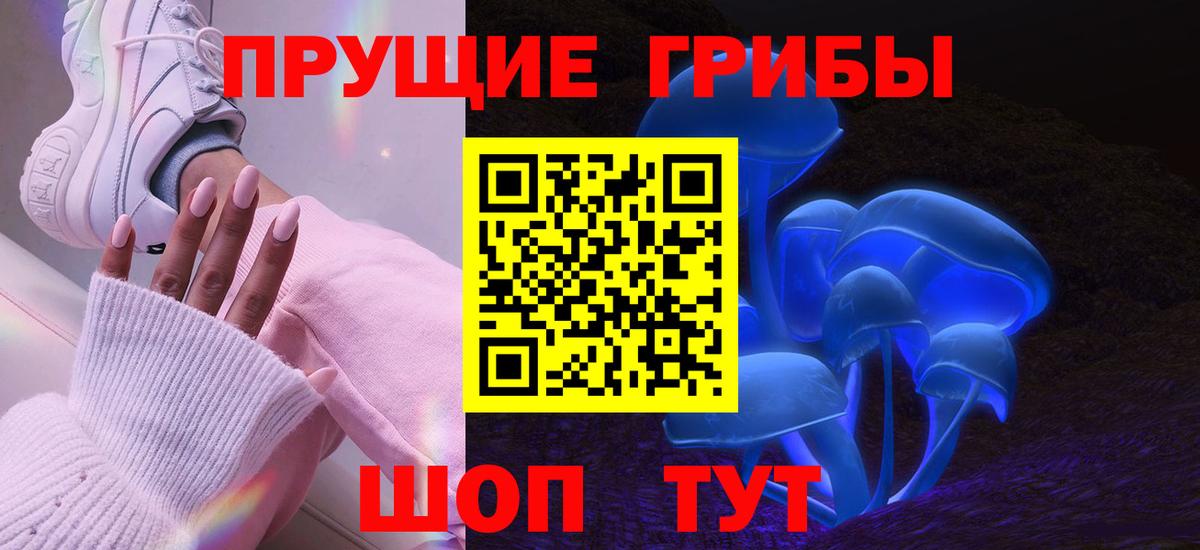 Псилоцибиновые грибы Psilocybine cubensis Костомукша