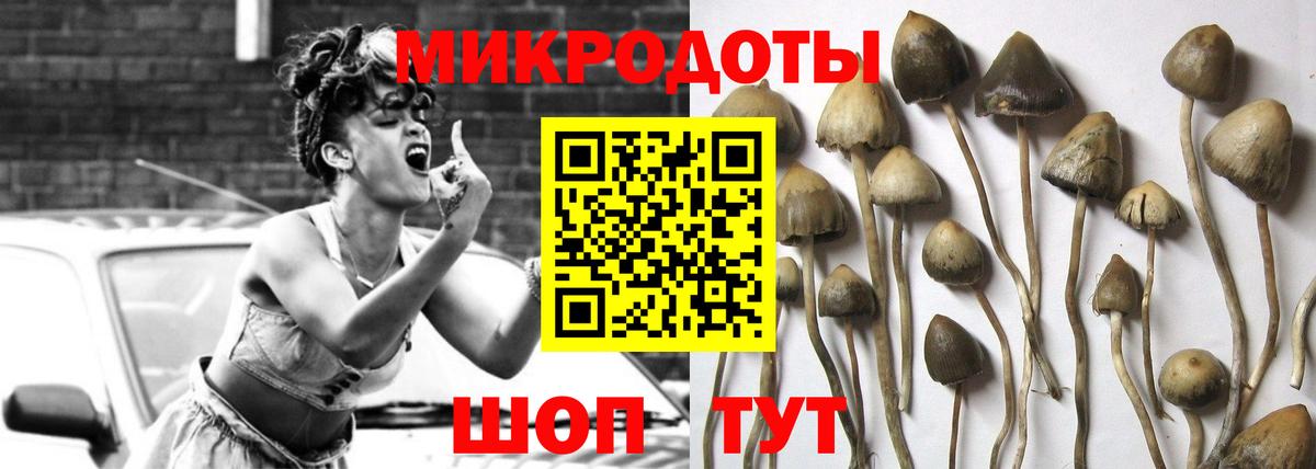 Костомукша  Галлюциногенные грибы Psilocybine cubensis  Вход с VPN 